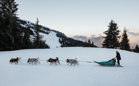 Aman Le Melezin - Dog Sledding 