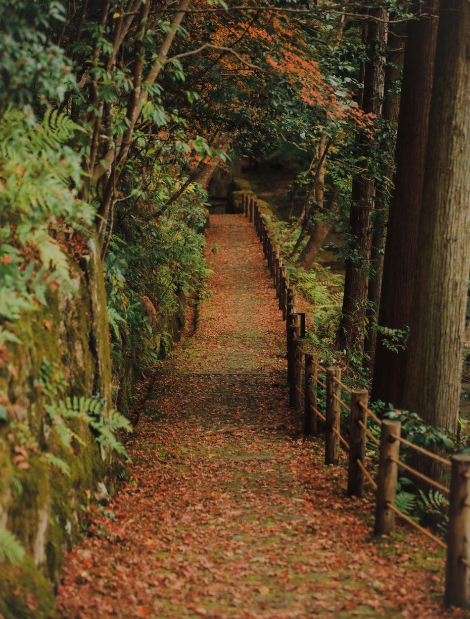 aman_kyoto_japan_-_garden_-_autumn